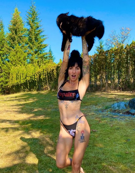 Lights Poxleitner kostenlose beste bilder
