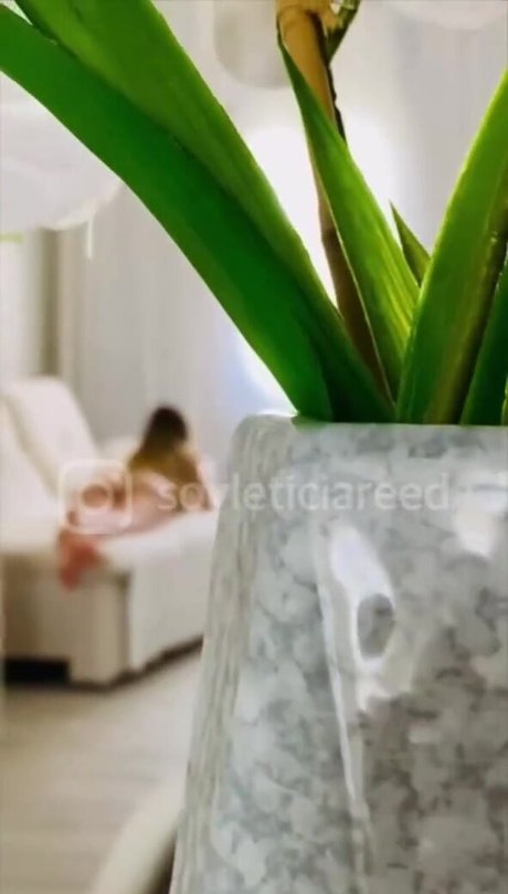 berühmte mädchen nur fans kunst sex galerien