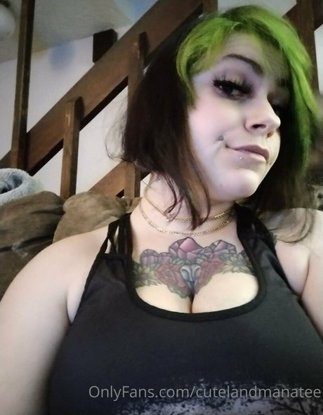 asiatische influencer-onlyfans kostenlose archiv