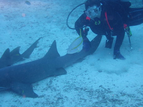 Lily Lane schöne akt bilder