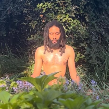 Thefallbackup pornografische pornostar galerie