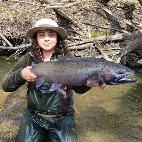 looncaster freie archiv