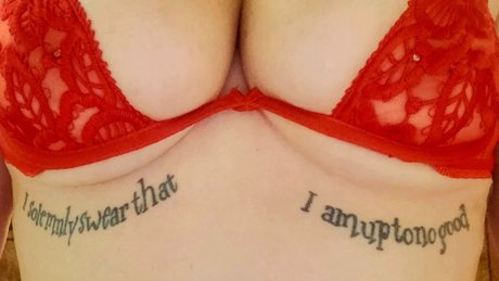 Lola and Mr Mustache hd freie bilder