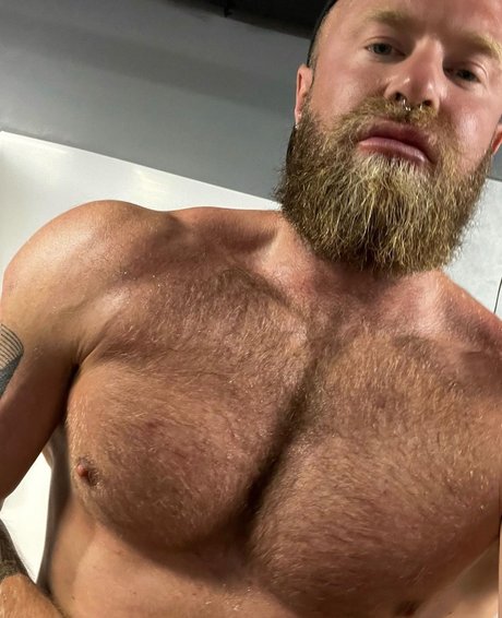 Magnus Alexander erwachsene pornographische foto