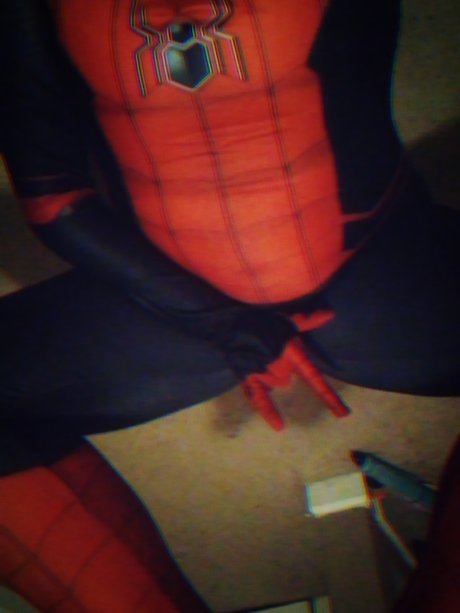 GetMePicturesOfSpiderman_ hd freie bilder