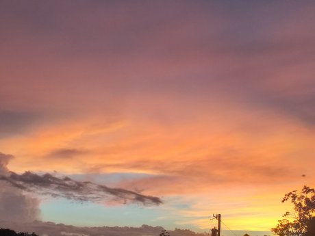 _BOSS_ kunst schöne galerien