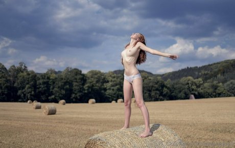 kacaduch kunst hübsche bild