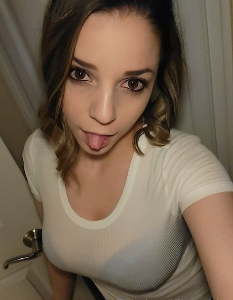 kitatochips beste freie galerien