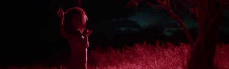 clitauro kunst perfekte galerien