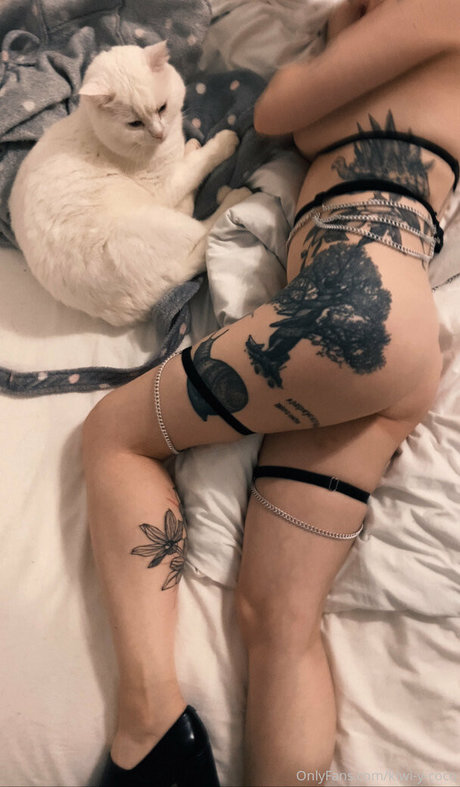 latino-onlyfans xxx hd bild