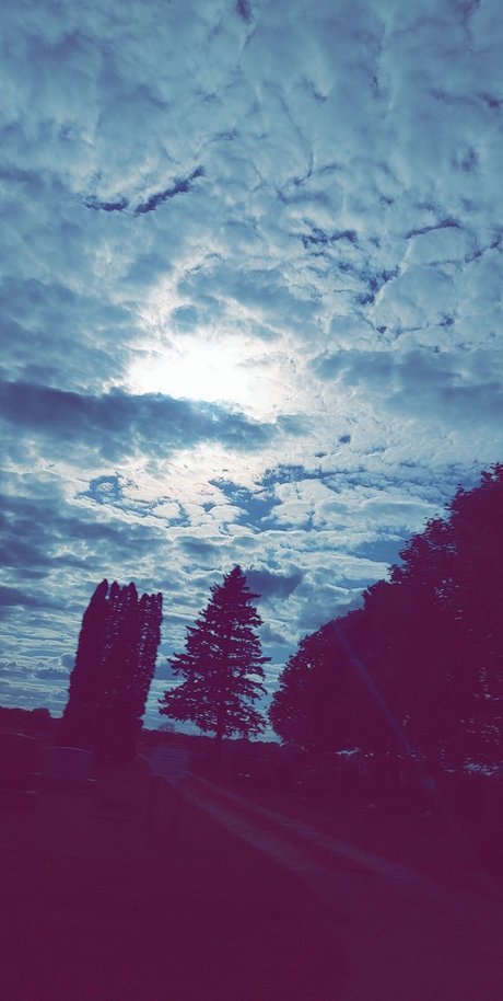 Nutty professoar nackt kostenlose galerie