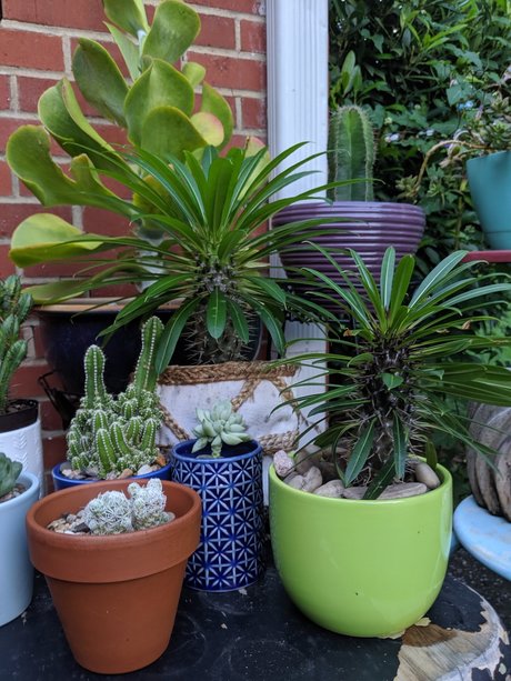 Matt woodds top sex bild