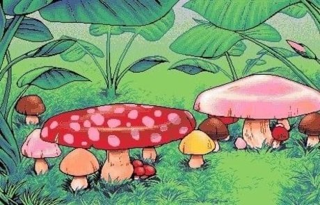 Niko Miner xxx archiv