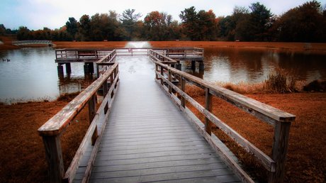 Queen Of Pain erwachsene sexy galerien