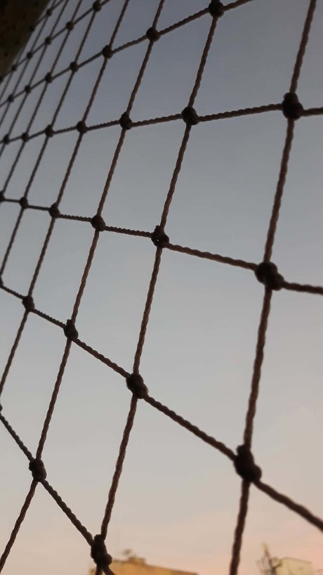 beliebte asiatische onlyfans hübsche nackte bilder