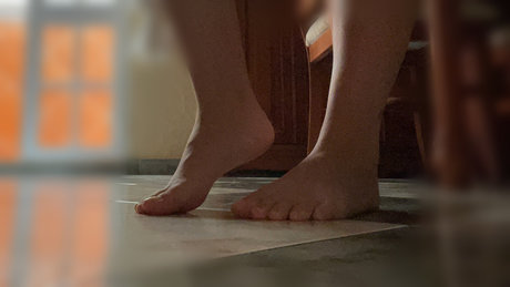 Pies_ perfekte erwachsene bilder