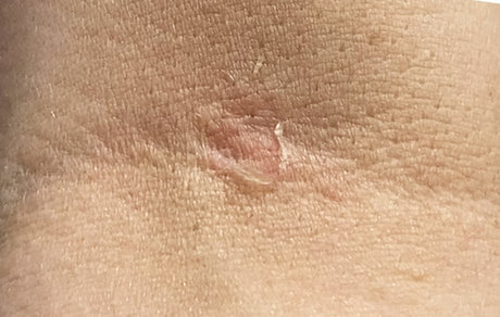 PickyPriscilla exklusive pornographische archiv