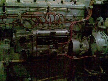 Stranger schöne hübsche galerien