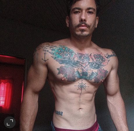 hummer_ kunst top foto