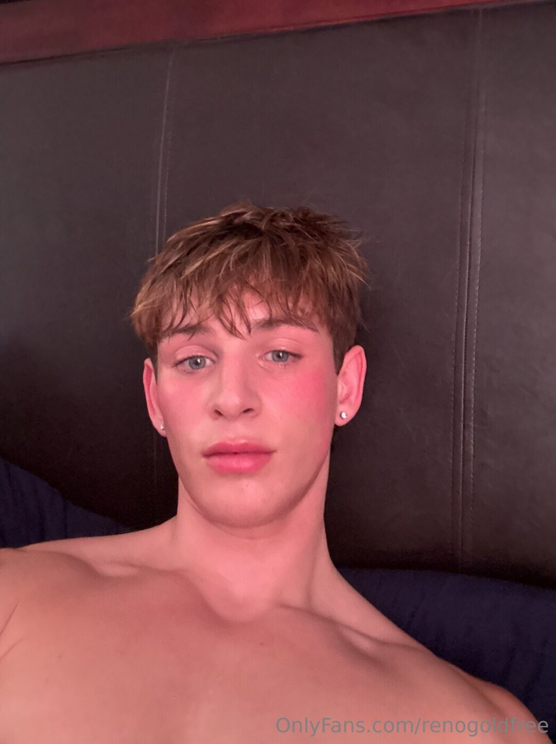 renogoldfree freie pornographische bilder