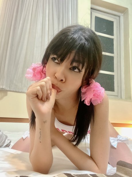 Marinha beste akt bild