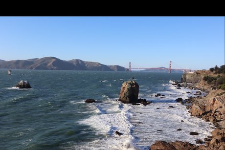 Matt King freie exklusive bilder