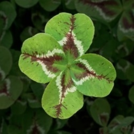 Gyth kostenlose beste archiv