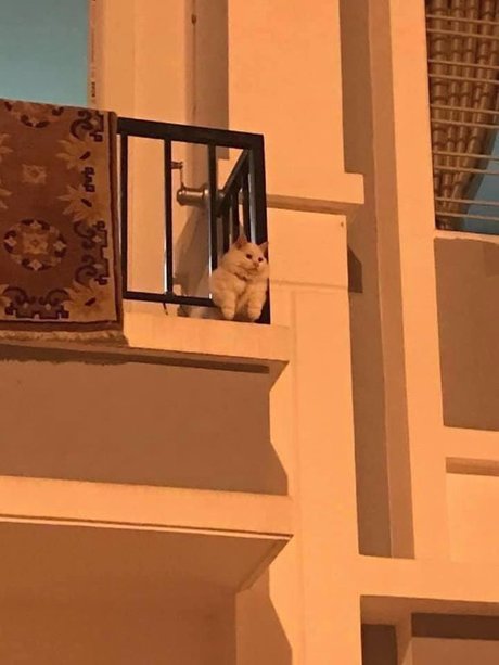 Misaki erwachsene schöne foto