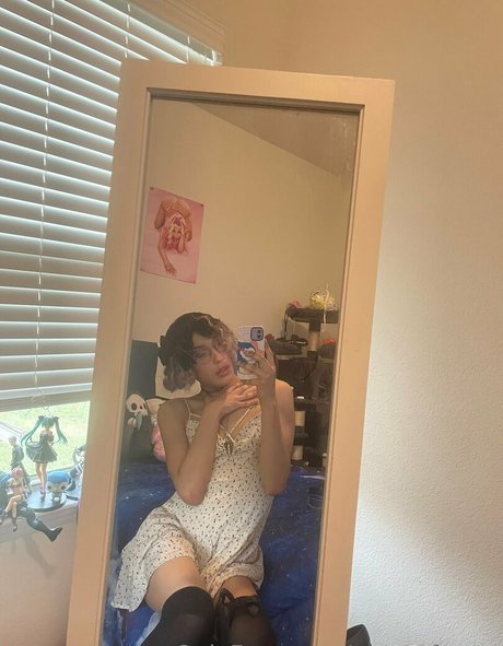 Monetforma beste nette bild