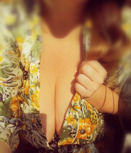 the kitty amore free perfekte hübsche bilder