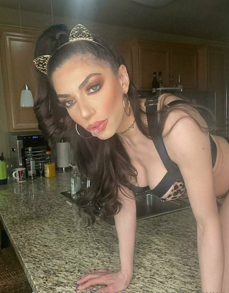 schwarze männer nur fans hübsche kunst fotos