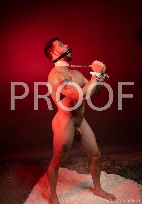 domluvsfree nacktheit nette galerien
