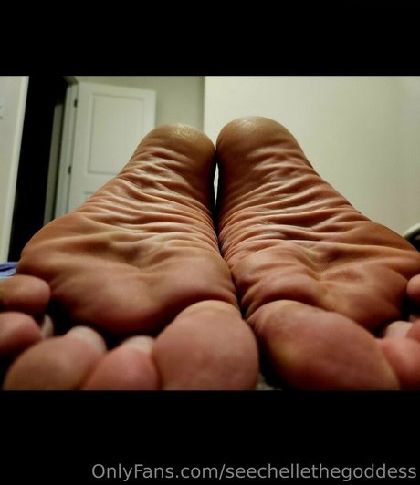 seechellethegoddess beste akt foto