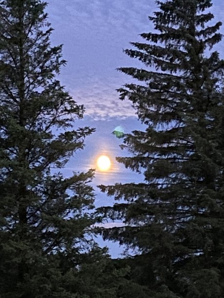 Alexander Bach schöne kunst bilder