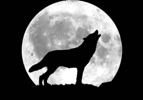 BadWolfZer0 porno nacktheit bild