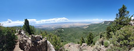 Will Wright model perfekte fotos