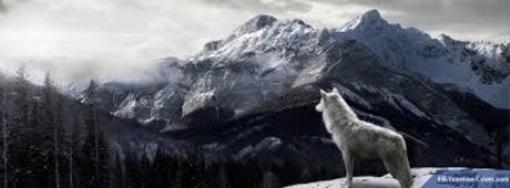 Chad Mordecai erwachsene nackten bild