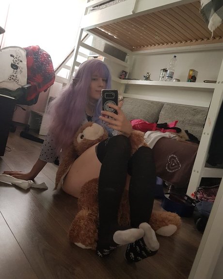 milkafox_ beste kostenlose bild