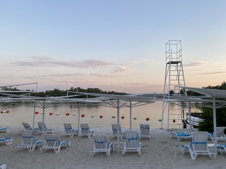 Ms Catty erwachsene sexy bilder