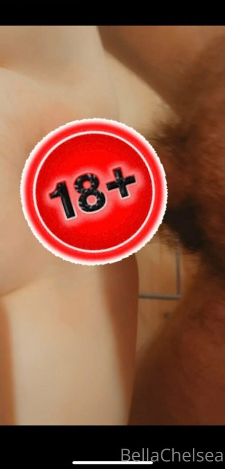 bellachelseafree porno pornostar galerien