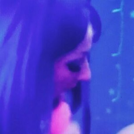 ravenragdoll heiße schöne bild