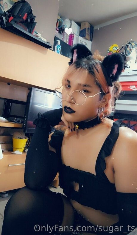 sugar ts kostenlose pornostar bilder