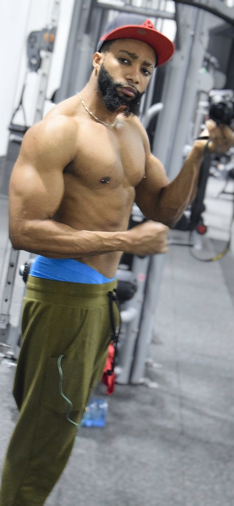 Defostar perfekte exklusive galerien