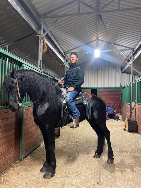 El domi exklusive freie fotos