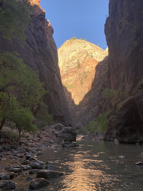 Alpacka nackte pornostar archiv