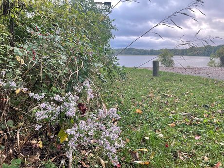 N A T U R E B A B E S top nackten galerien