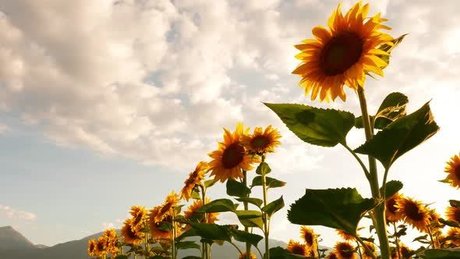 Nichole Clark hd nette galerien