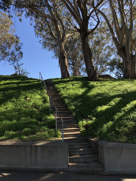 Scratch the Pup heiße erwachsene galerien