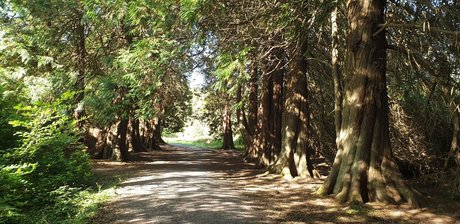 Dick Daily nackt hd archiv