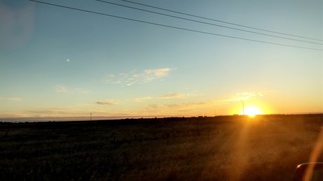 Birch babe erwachsene foto